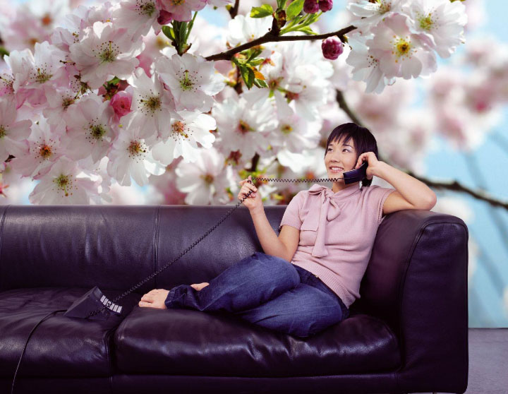 фотообои 3d сакура на кухню