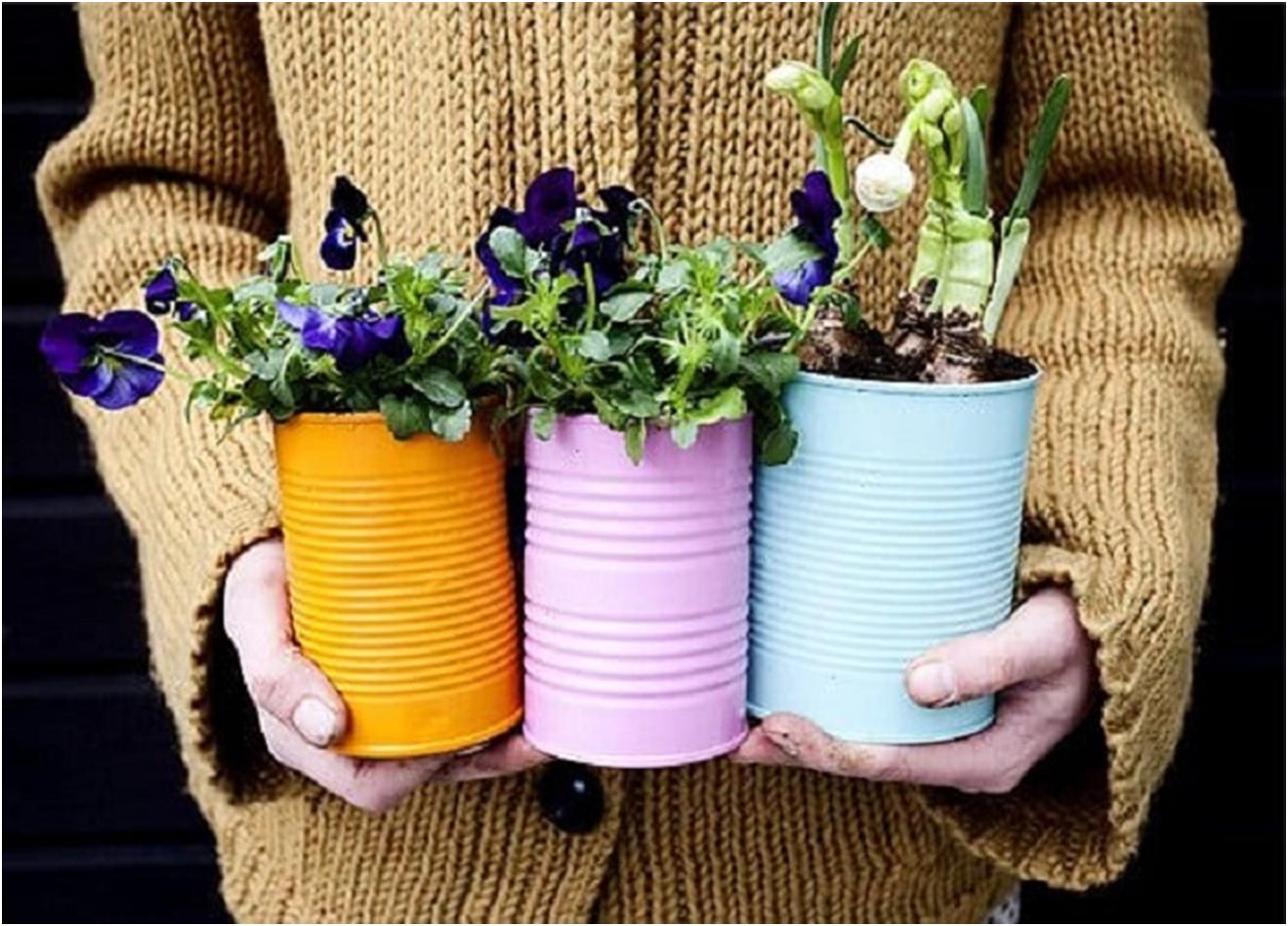 Plant flowers recycle cans collect. Креативные горшки для цветов. Украсить цветочный горшок. Горшок из жестяной банки. Горшки для цветов из консервных банок.